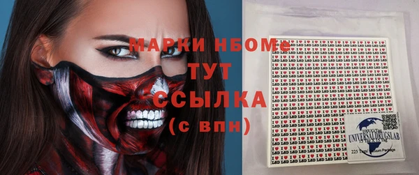 ГАЛЛЮЦИНОГЕННЫЕ ГРИБЫ Осташков