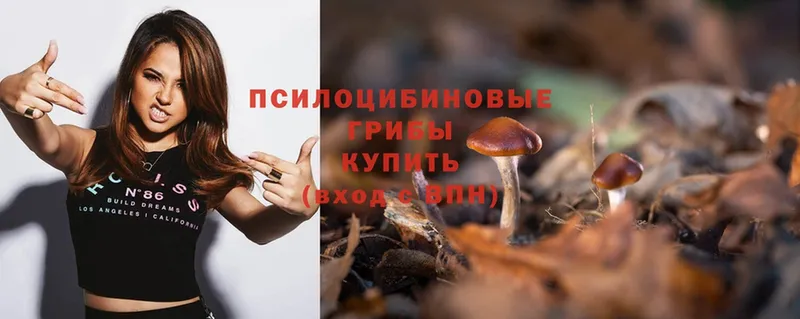 мега ТОР  Белебей  Галлюциногенные грибы Psilocybe 