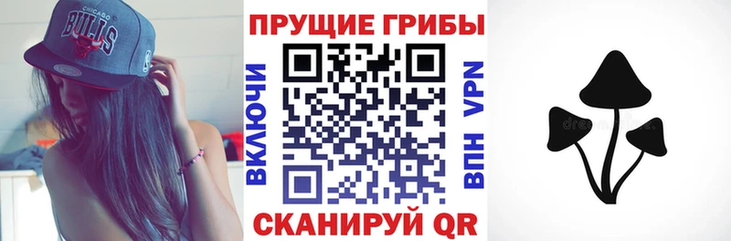 Псилоцибиновые грибы GOLDEN TEACHER  Белебей 