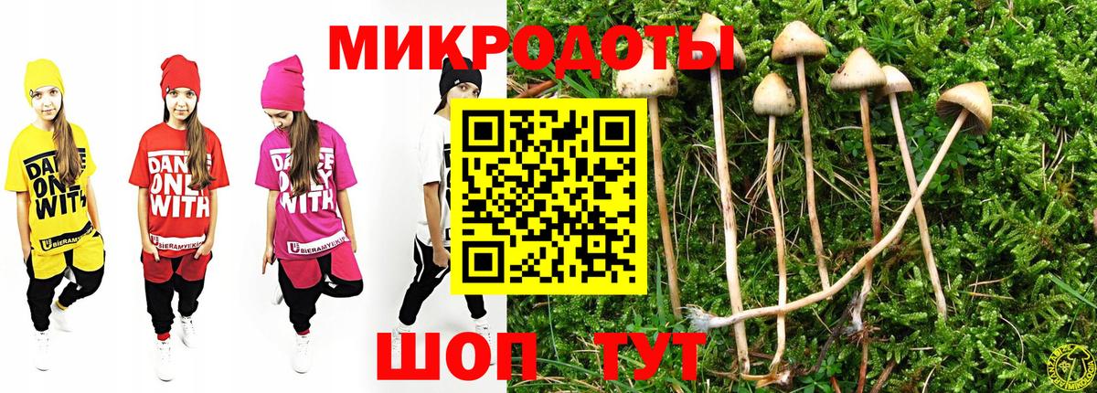 Псилоцибиновые грибы Psilocybe  Белебей 